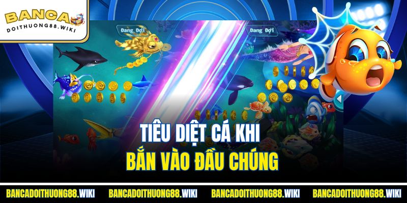 Mẹo Chơi Bắn Cá 2 Tiêu diệt cá khi bắn vào đầu chúng